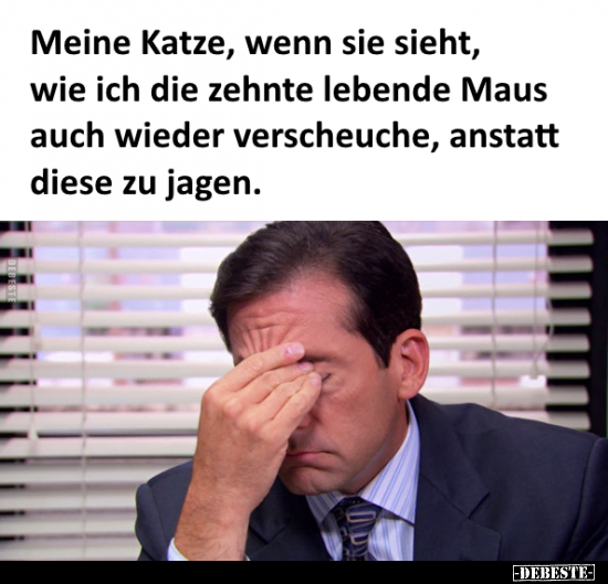 Katze, Wenn, Maus, Jagen