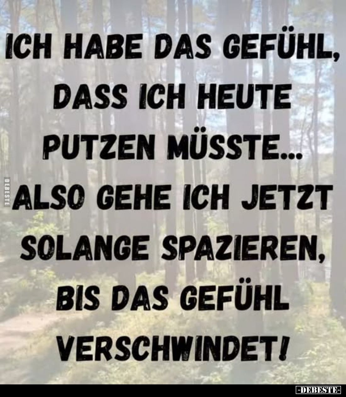 Ich habe das Gefühl, dass ich heute putzen müsste... also gehe ich jetzt solange spazieren, bis das Gefühl verschwindet!