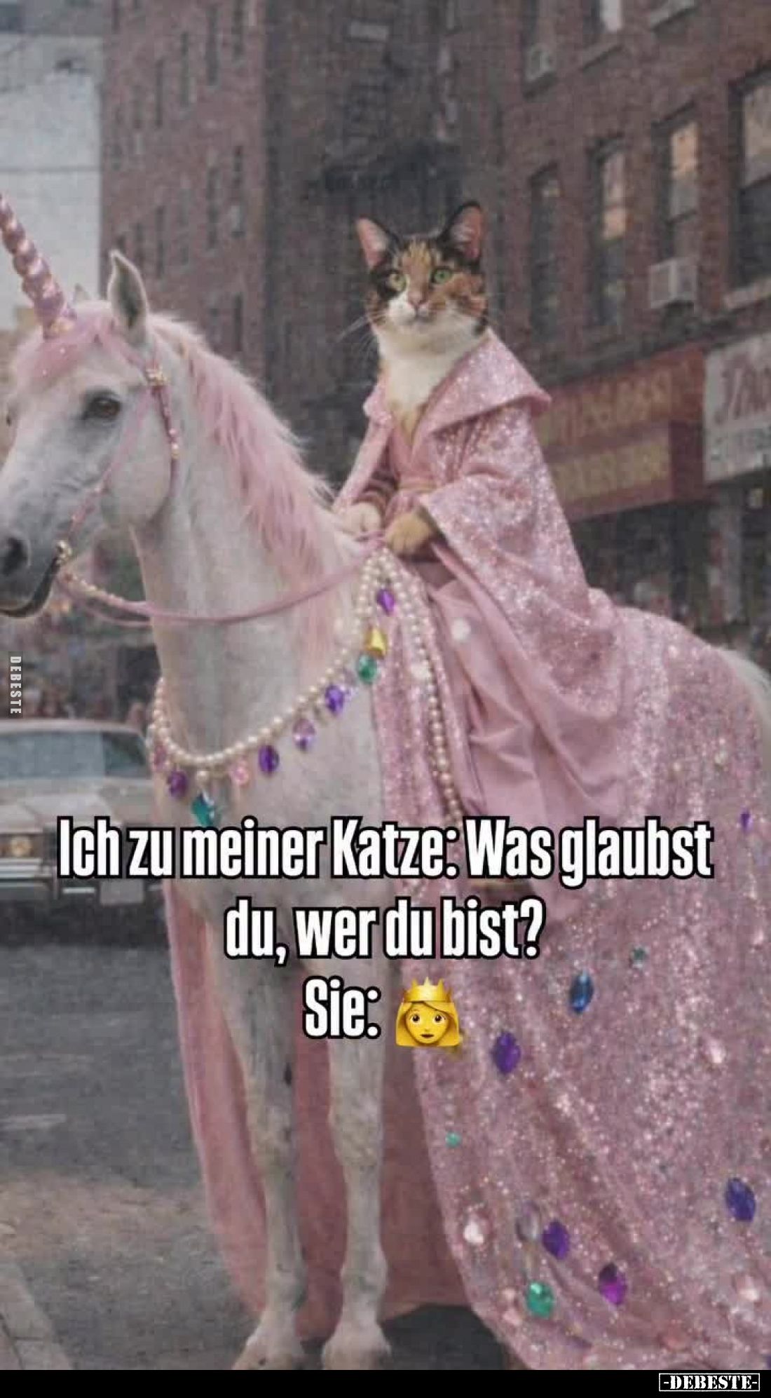 Ich zu meiner Katze: Was glaubst du, wer du bist?
Sie: