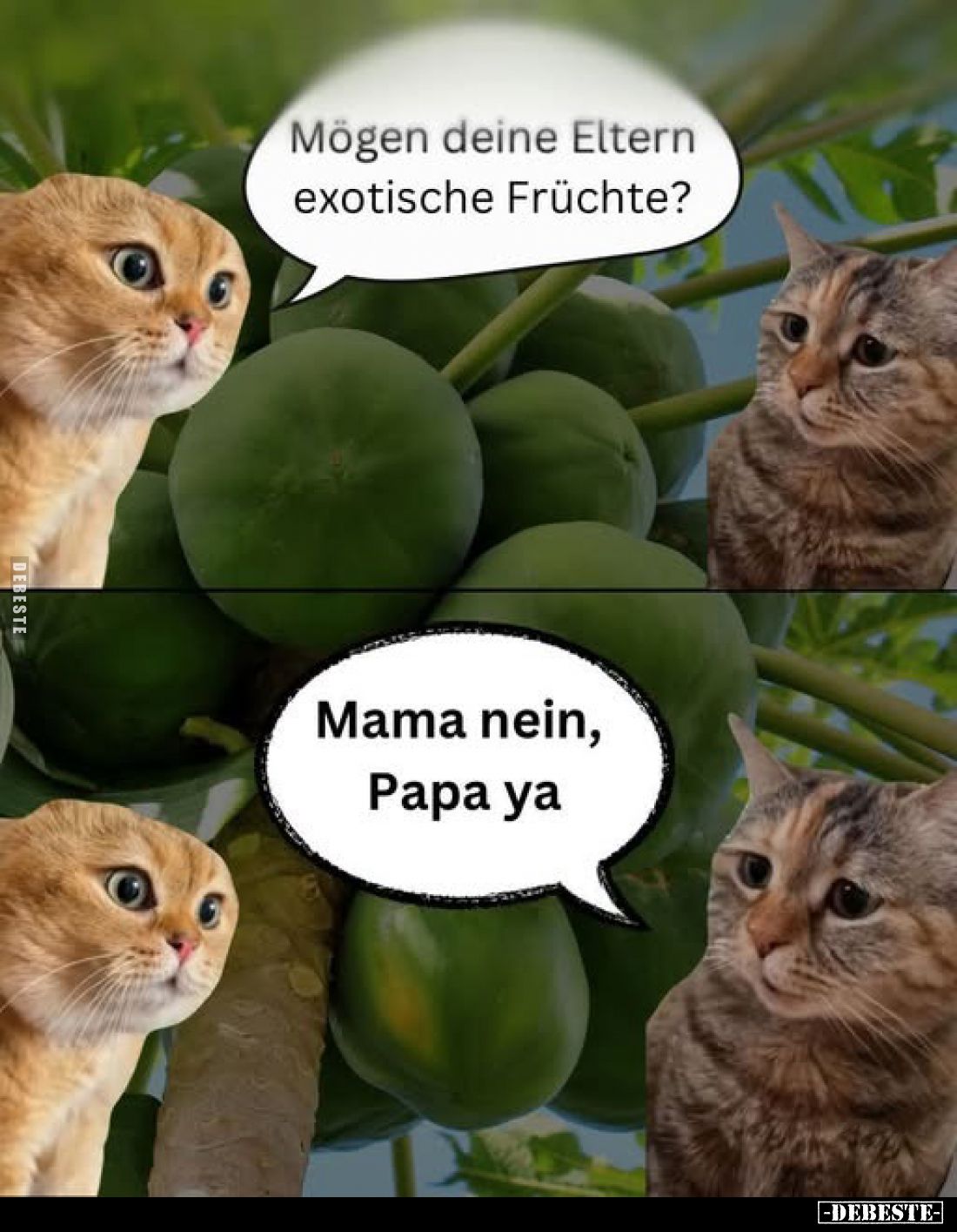 Mögen deine Eltern exotische Früchte?
-
Mama nein, Papa ya