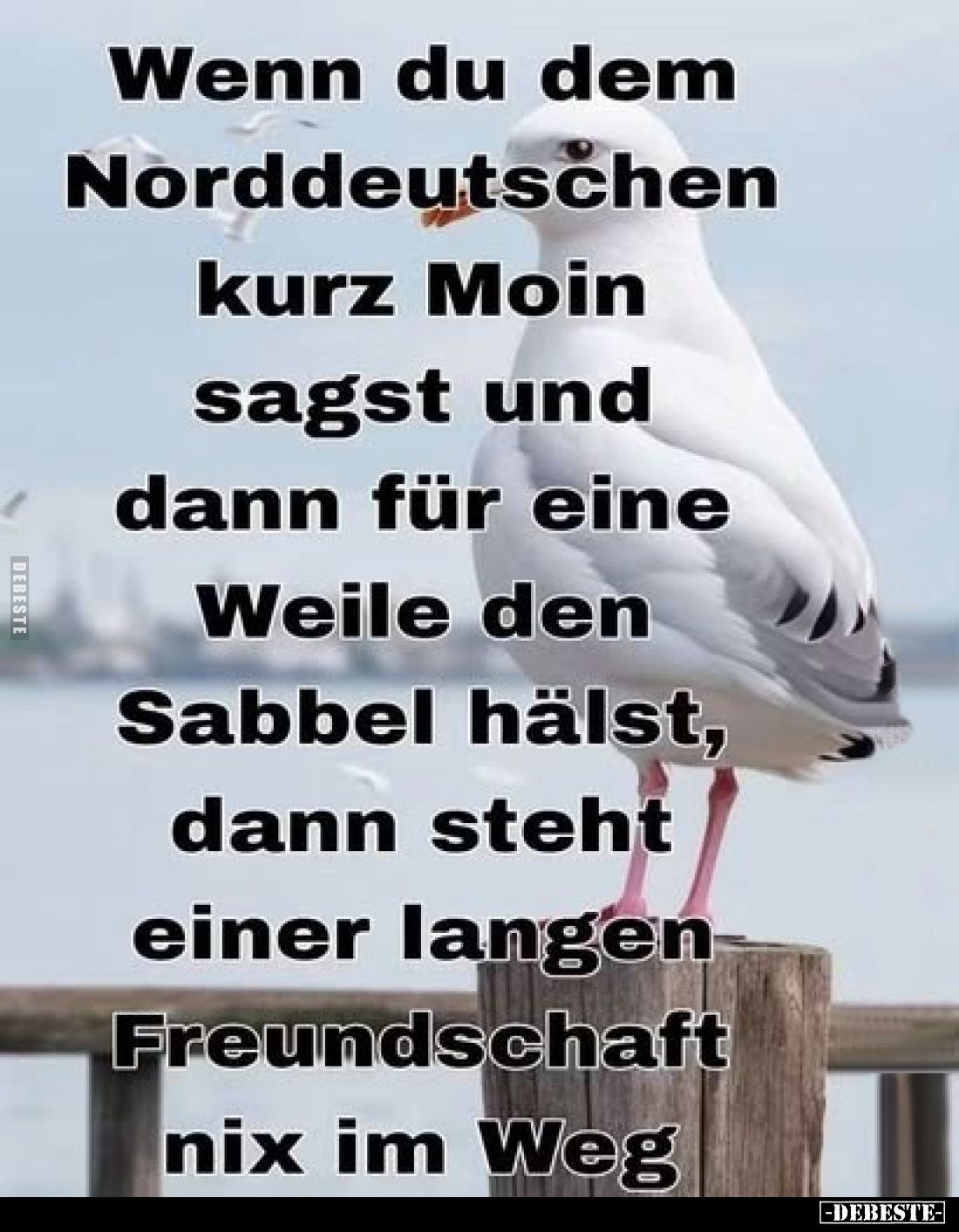 Wenn du dem Norddeutschen kurz Moin sagst und dann für eine Weile den Sabbel hältst, dann steht einer langen Freundschaft nix...