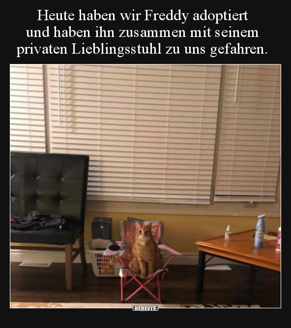 Heute haben wir Freddy adoptiert und haben ihn zusammen..