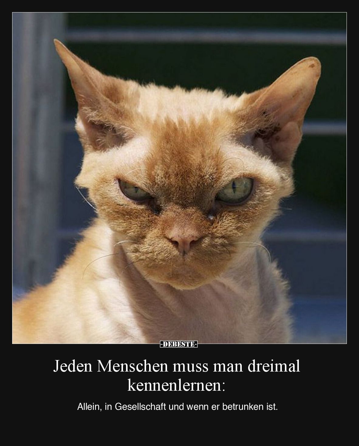 Jeden Menschen muss man dreimal kennenlernen.. - Lustige Bilder | DEBESTE.de