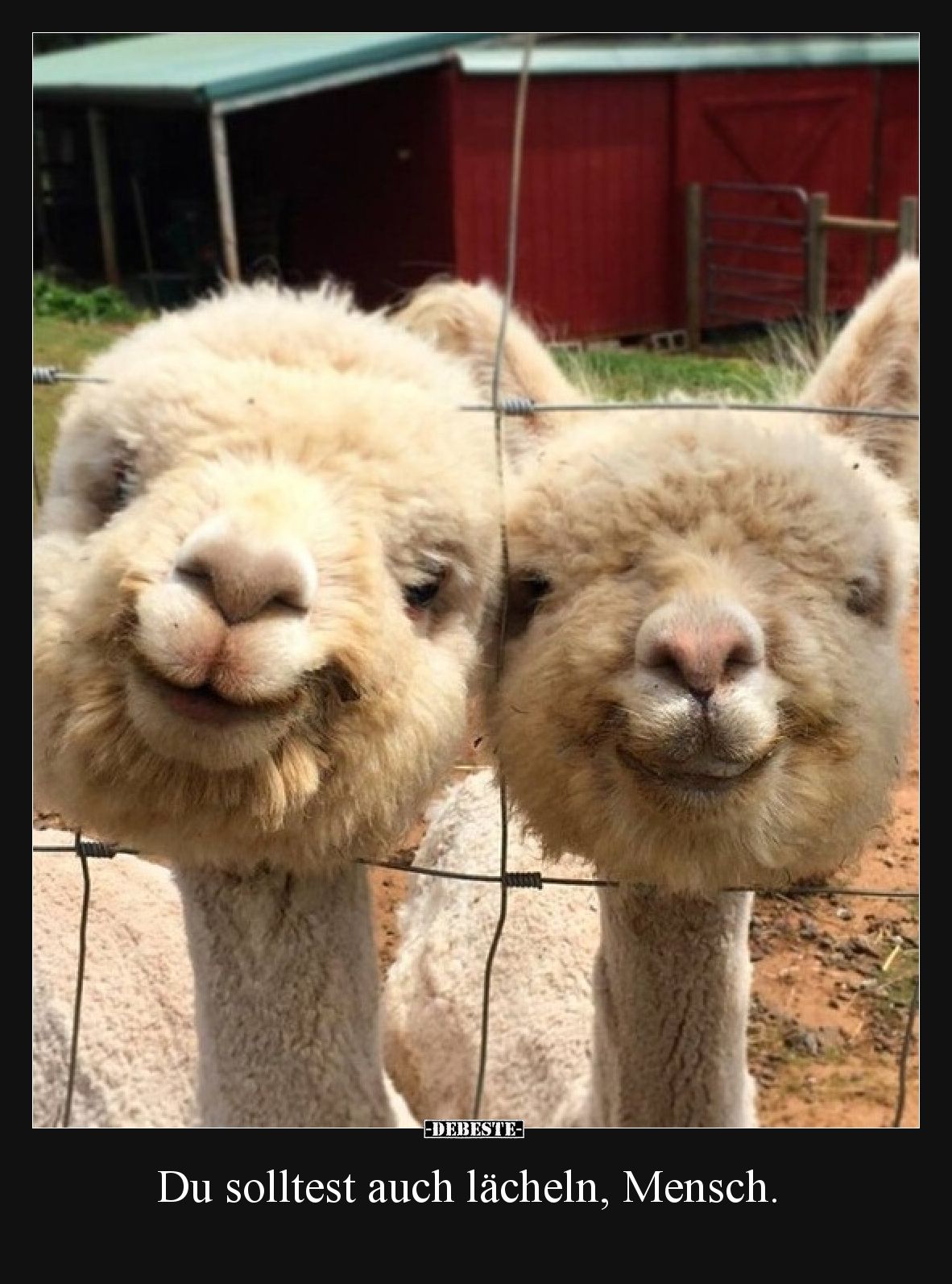 Du solltest auch lächeln, Mensch.