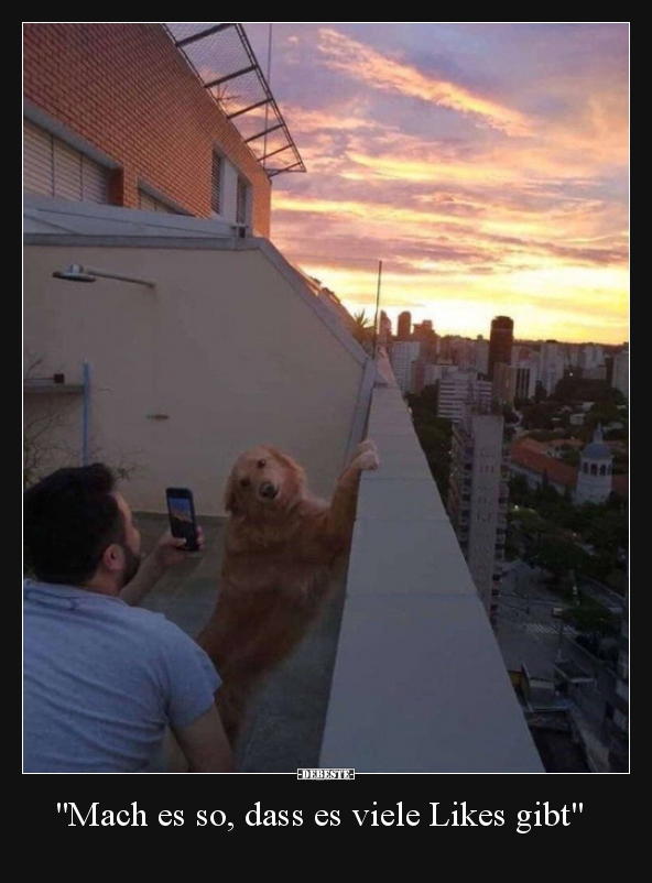 "Mach es so, dass es viele Likes gibt"..
