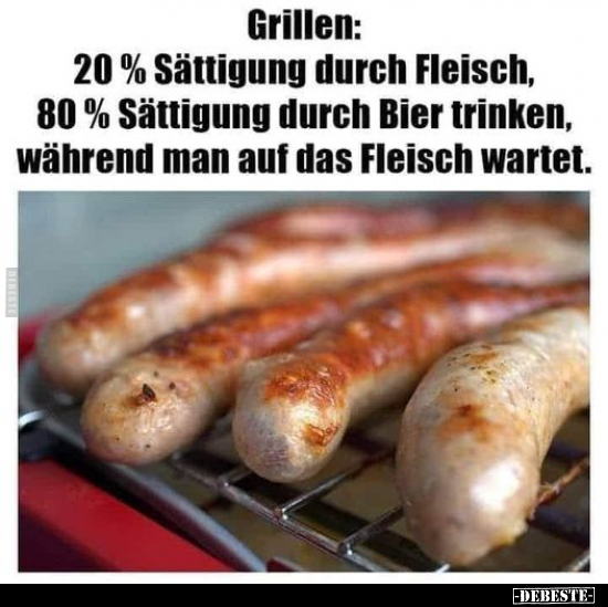 Grillen: 20% Sättigung durch Fleisch.. - Lustige Bilder | DEBESTE.de