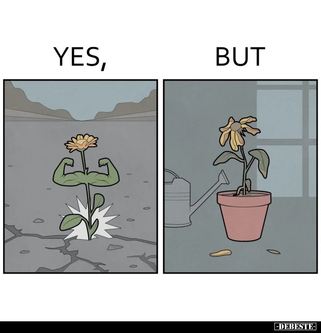 Yes, but...