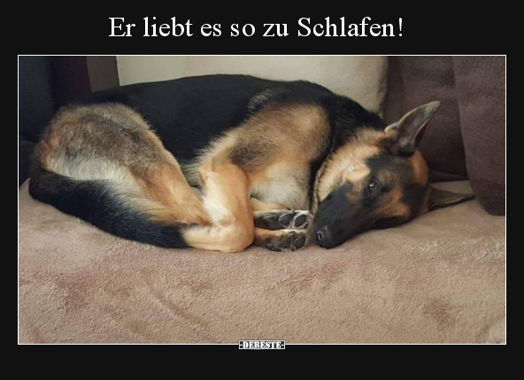 Er liebt es so zu Schlafen!.. - Lustige Bilder | DEBESTE.de