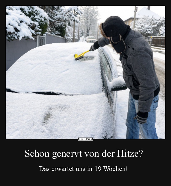 Schon genervt von der Hitze? - Lustige Bilder | DEBESTE.de