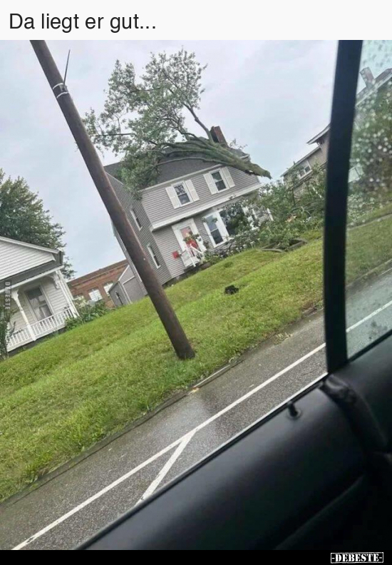 Da liegt er gut...