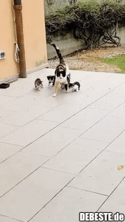 Hallo, das ist unsere neue Familie.