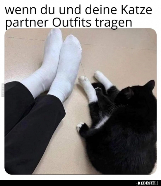 Wenn du und deine Katze partner Outfits tragen..