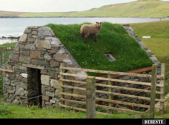  - Lustige Bilder | DEBESTE.de