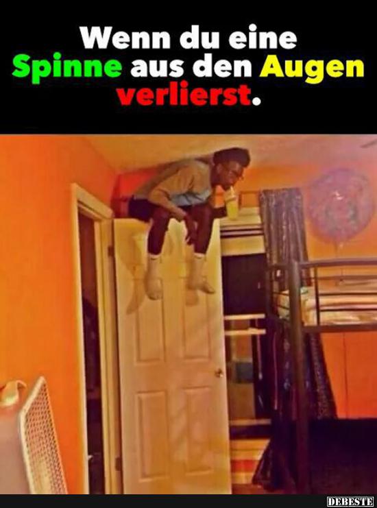 Wenn du eine Spinne aus den Augen verlierst..