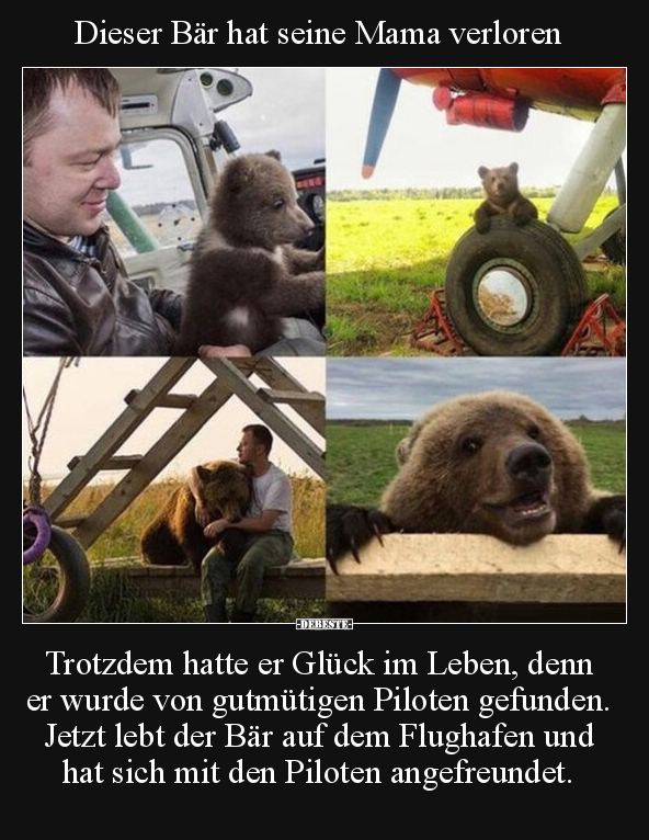 Dieser Bär hat seine Mama verloren.. - Lustige Bilder | DEBESTE.de