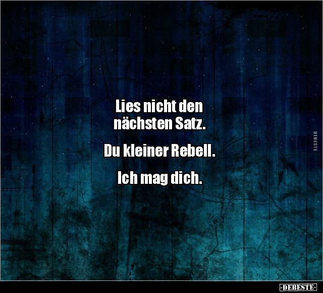 Lies nicht den nächsten Satz... - Lustige Bilder | DEBESTE.de