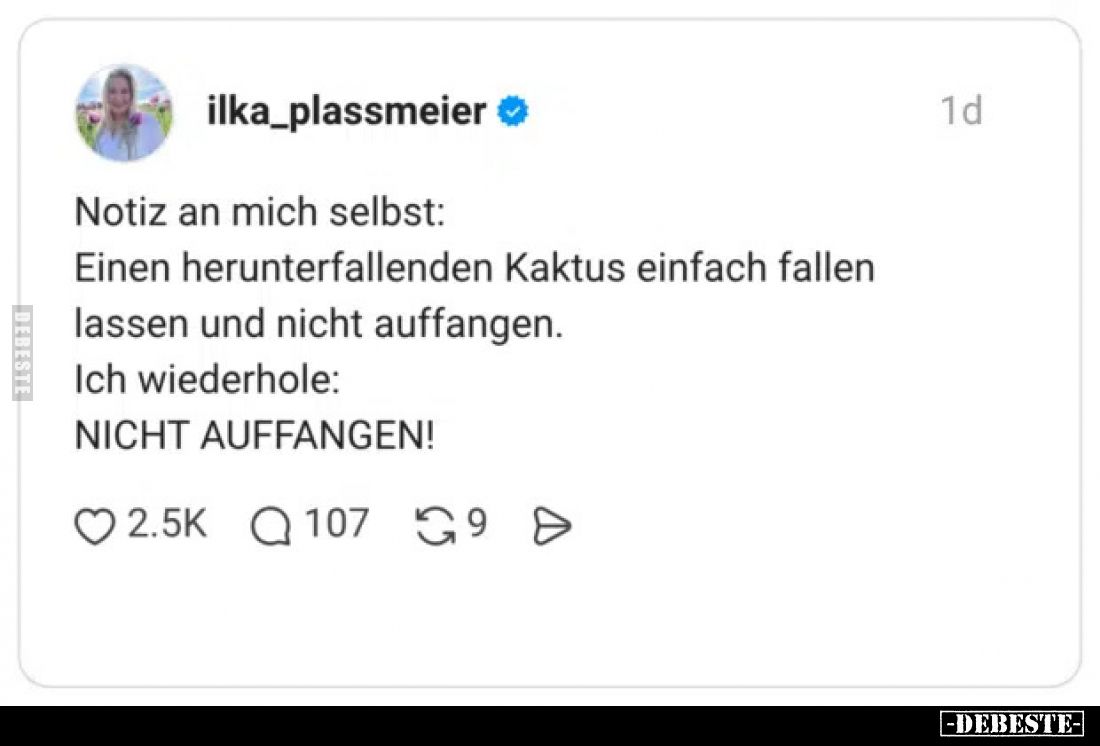 Notiz an mich selbst:
Einen herunterfallenden Kaktus einfach fallen lassen und nicht auffangen.
Ich wiederhole:
NICHT AUFF...