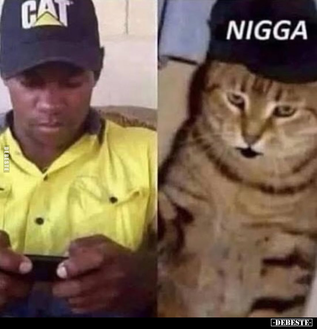 Cat - Nigga