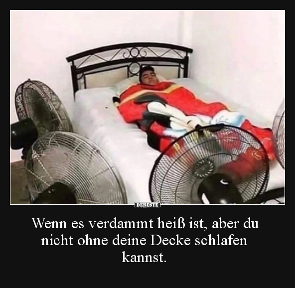 Wenn es verdammt heiß ist, aber du nicht ohne deine Decke.. - Lustige Bilder | DEBESTE.de