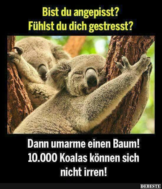 Bist du angepisst? Fühlst du dich gestresst?