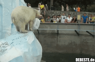  - Lustige Bilder | DEBESTE.de