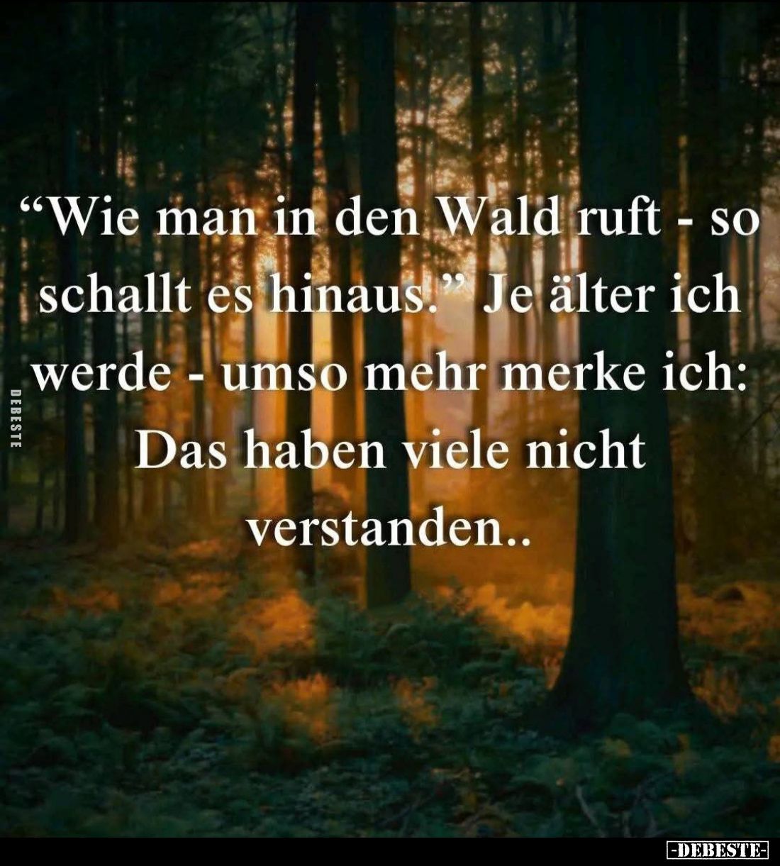 "Wie man in den Wald ruft - so schallt es hinaus." - Je älter ich werde - umso mehr merke ich:
Das haben viele nic...