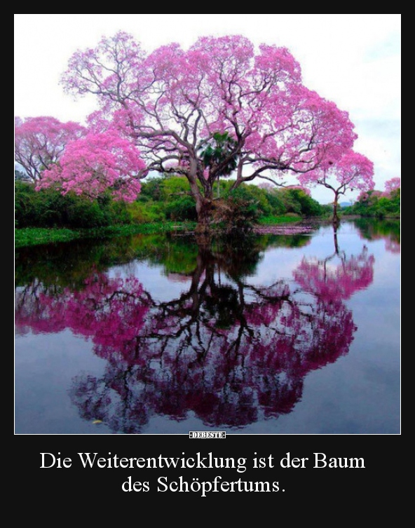 Die Weiterentwicklung ist der Baum des Schöpfertums...