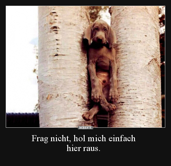 Frag nicht, hol mich einfach hier raus... - Lustige Bilder | DEBESTE.de