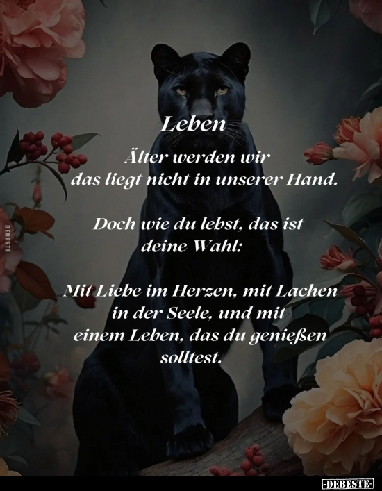 Hand, Doch, Wahl, Liebe, Lachen, Leben