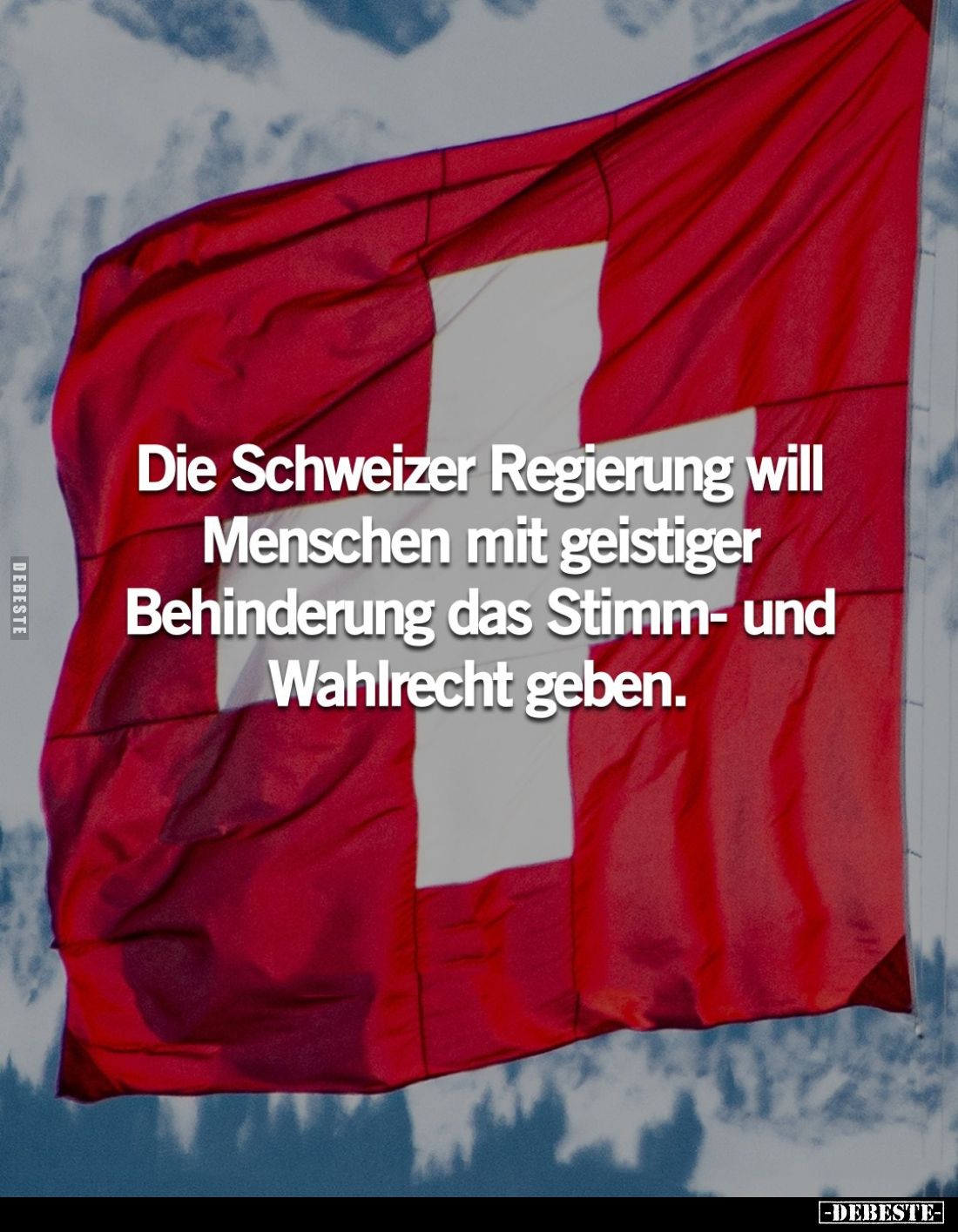 Die Schweizer Regierung will Menschen mit geistiger Behinderung das Stimm- und Wahlrecht geben.