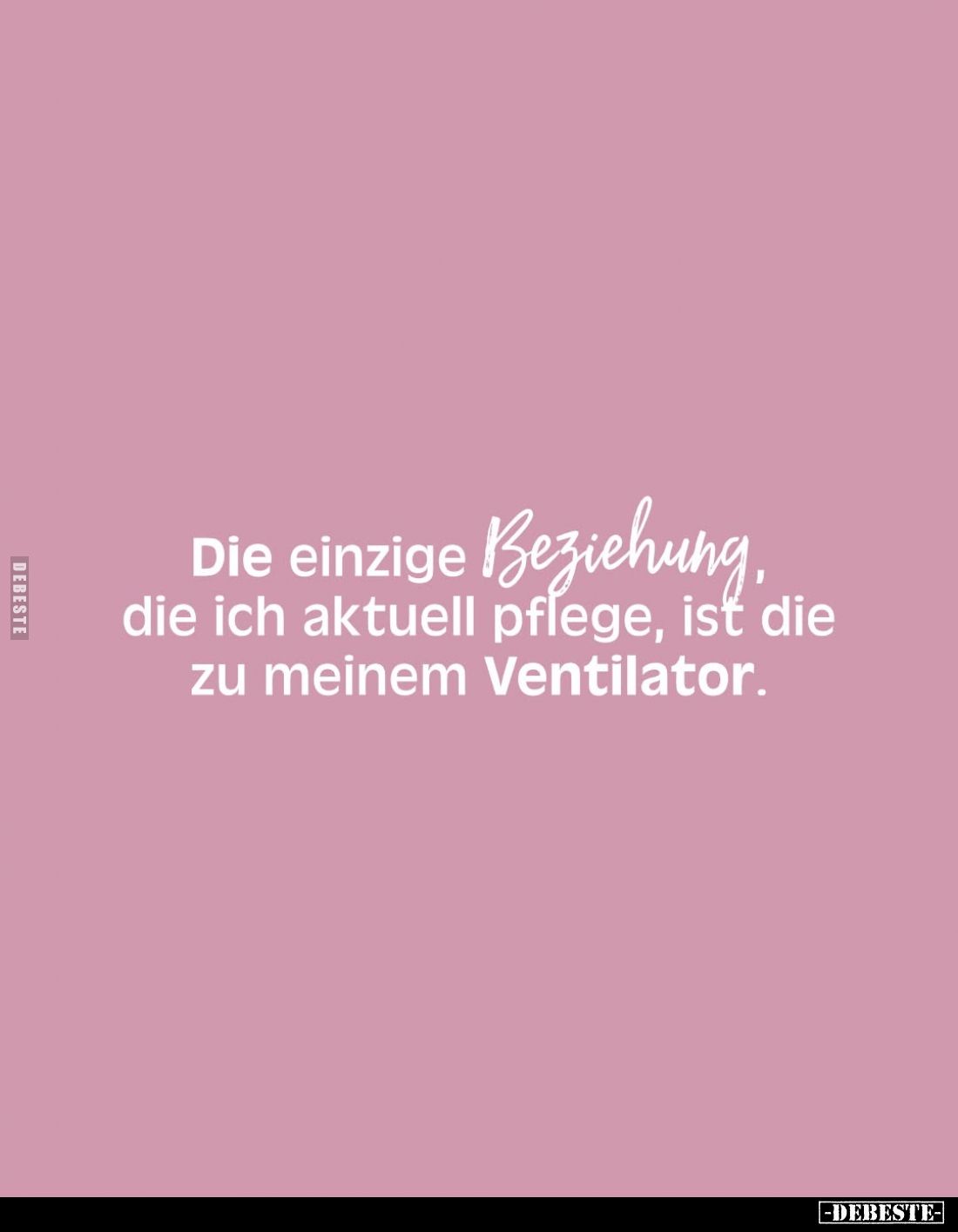 Die einzige Beziehung, die ich aktuell pflege, ist die zu meinem Ventilator.