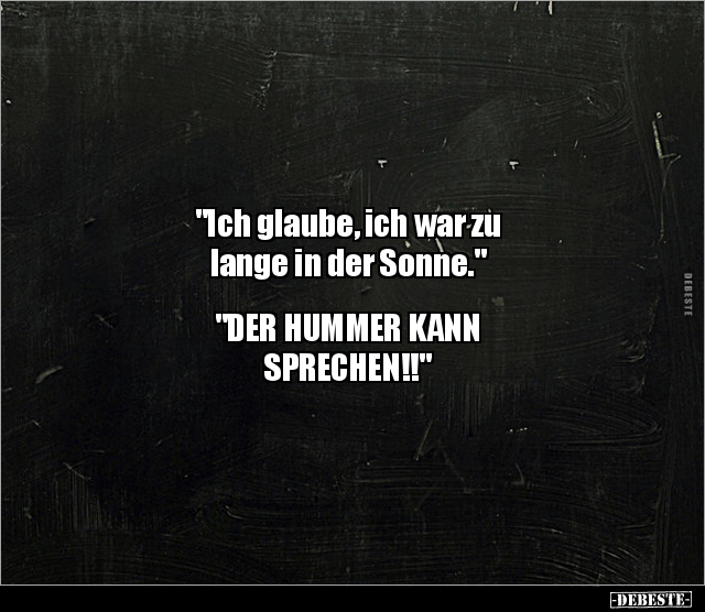 "Ich glaube, ich war zu lange in der Sonne." "DER HUMMER.." - Lustige Bilder | DEBESTE.de