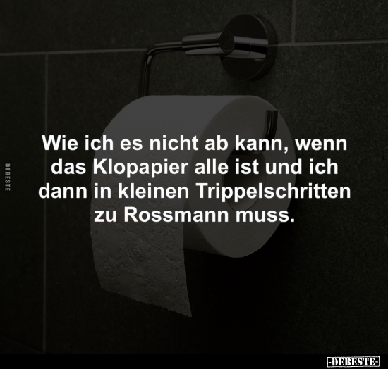 Wie ich es nicht ab kann, wenn das Klopapier.. - Lustige Bilder | DEBESTE.de