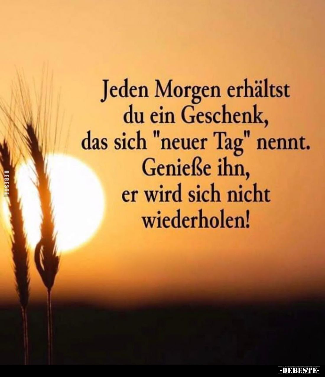 Jeden Morgen erhältst du ein Geschenk, das sich "neuer Tag" nennt. Genieße ihn, er wird sich nicht wiederholen!