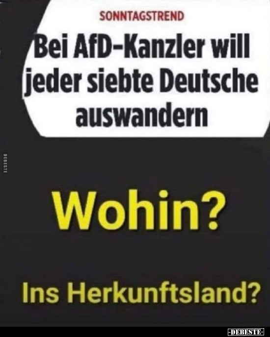 Bei AfD-Kanzler will jeder siebte Deutsche.. - Lustige Bilder | DEBESTE.de