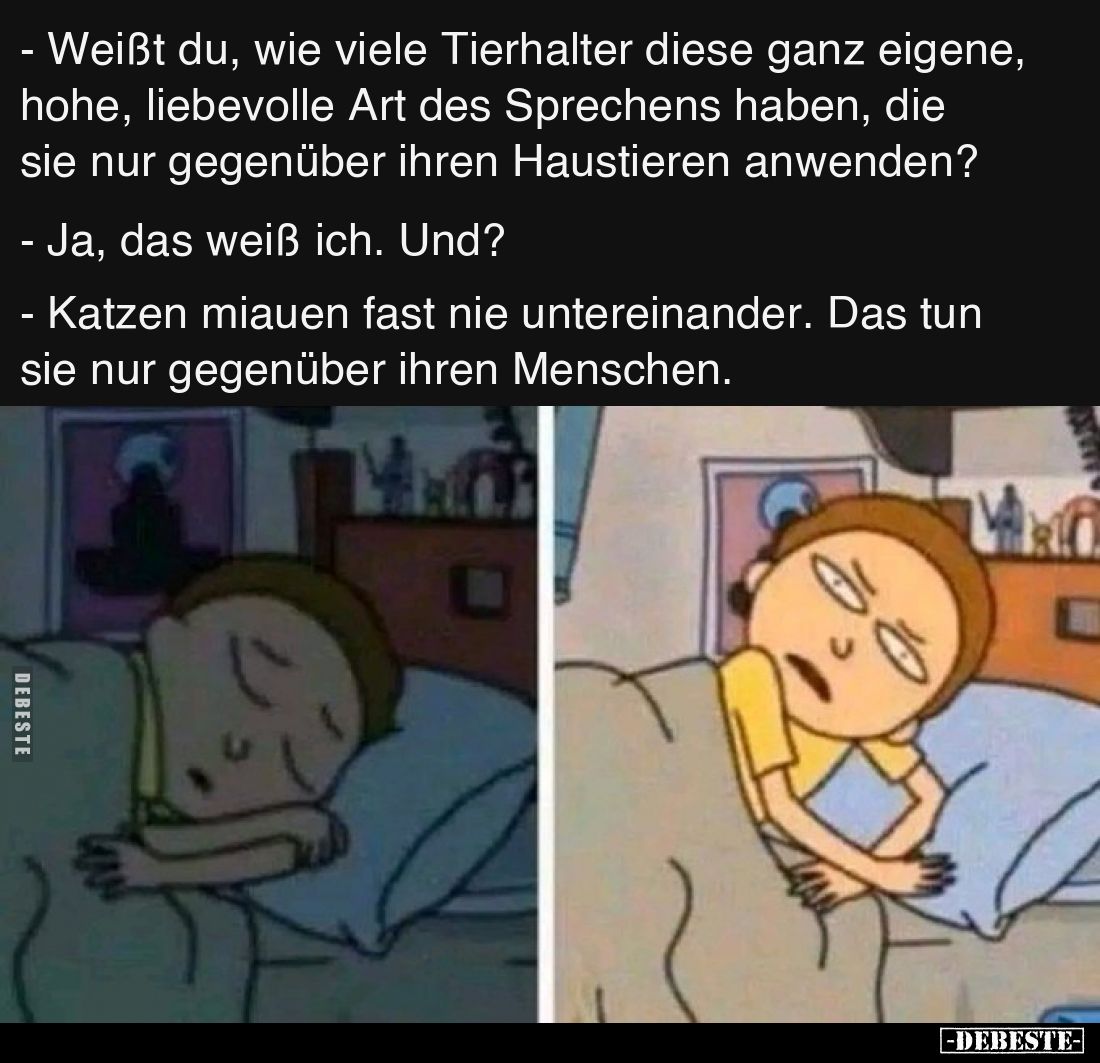 - Weißt du, wie viele Tierhalter diese ganz eigene, hohe, liebevolle Art des Sprechens haben, die sie nur gegenüber ihren Hau...
