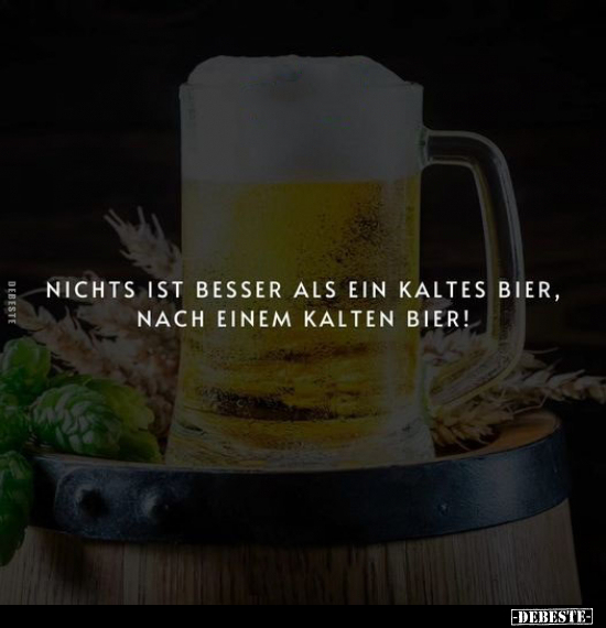 Nichts ist besser als ein kaltes Bier, nach einem kalten Bier.. - Lustige Bilder | DEBESTE.de