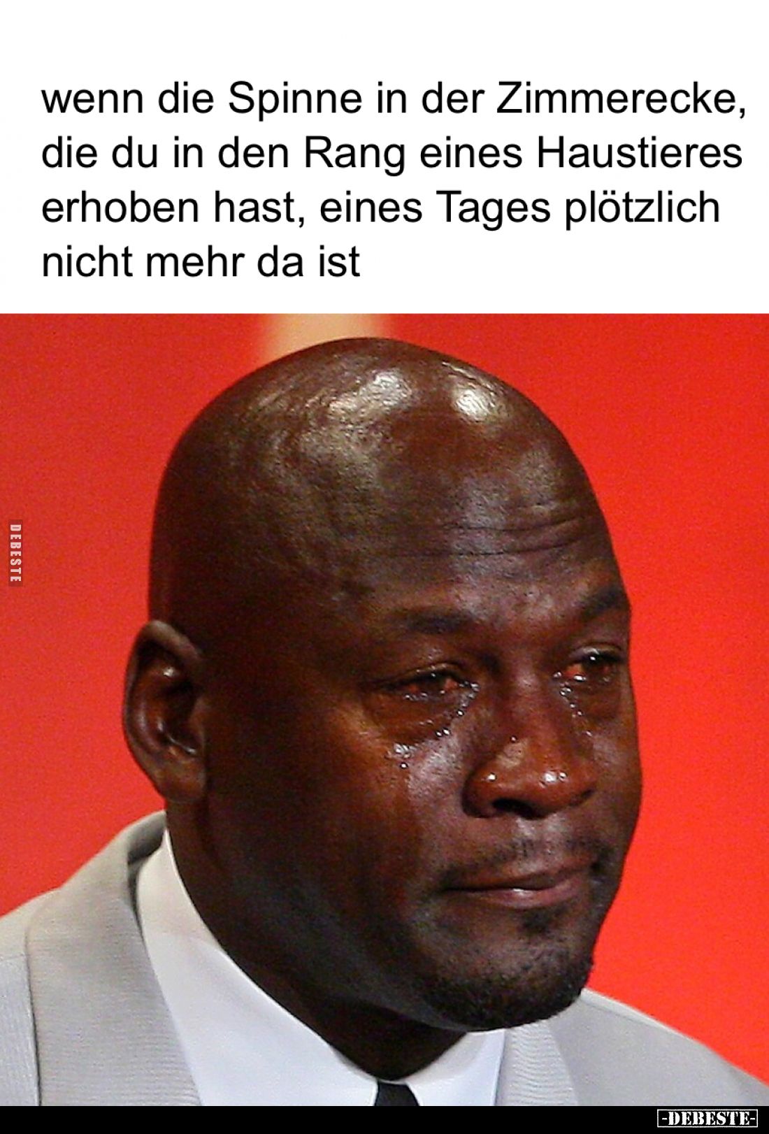 Wenn die Spinne in der Zimmerecke, die du in den Rang eines Haustieres erhoben hast, eines Tages plötzlich nicht mehr da ist.
