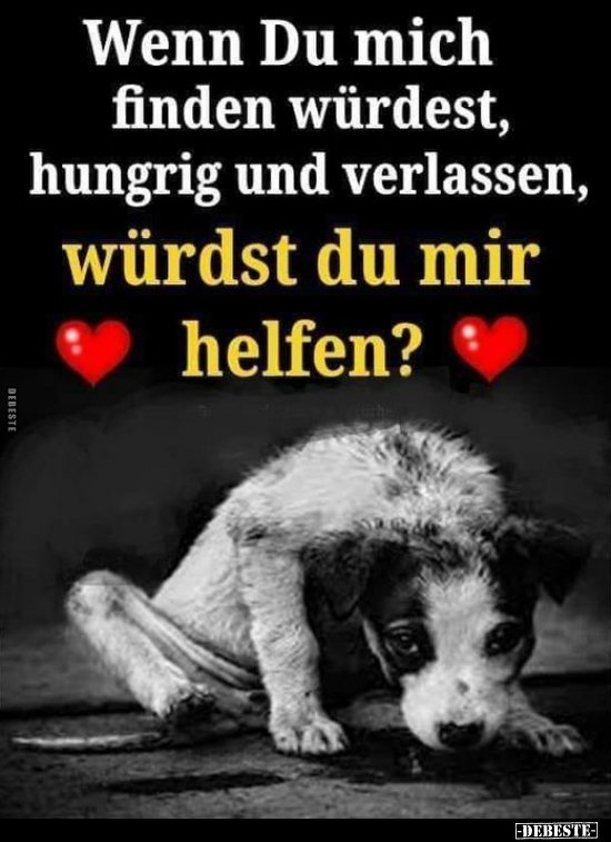 Wenn Du mich finden würdest, hungrig und verlassen.. - Lustige Bilder | DEBESTE.de