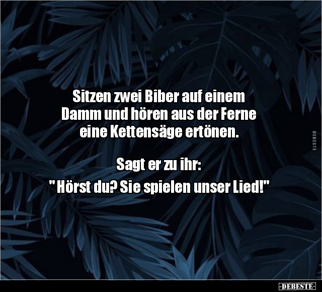Sitzen zwei Biber auf einem Damm und hören aus der Ferne.. - Lustige Bilder | DEBESTE.de