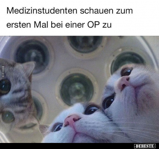 Medizinstudenten schauen zum ersten Mal bei einer OP zu.. - Lustige Bilder | DEBESTE.de
