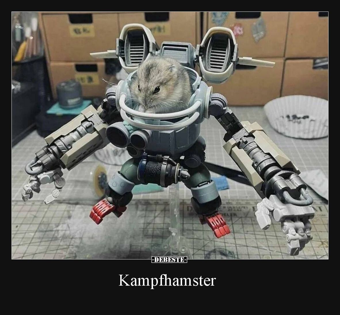Kampfhamster