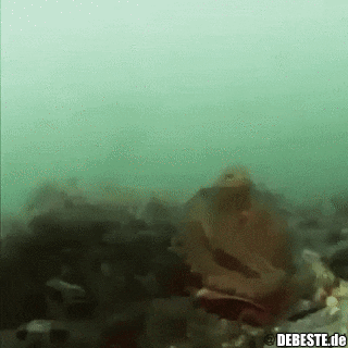 Geh weg! - Lustige Bilder | DEBESTE.de