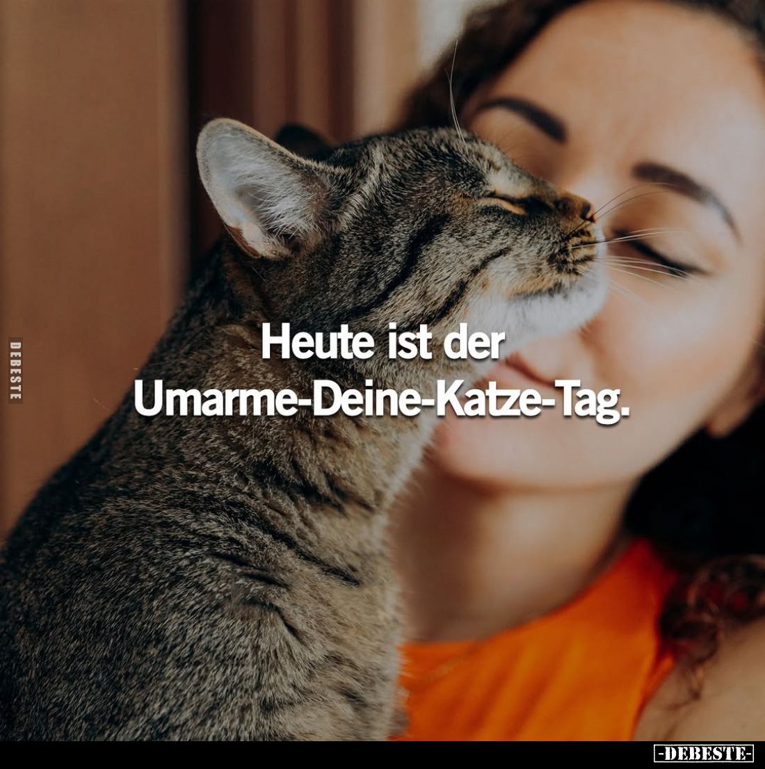 Heute ist der Umarme-Deine-Katze-Tag.