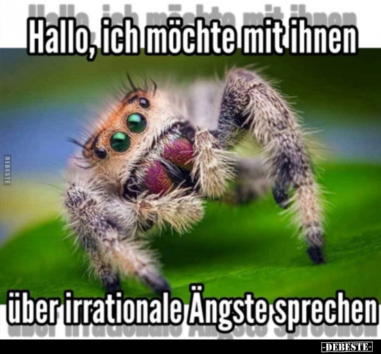 Hallo, ich möchte mit ihnen über irrationale Ängste sprechen.. - Lustige Bilder | DEBESTE.de