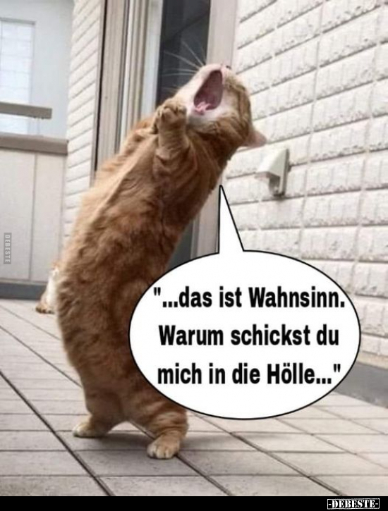 "...das ist Wahnsinn..." - Lustige Bilder | DEBESTE.de