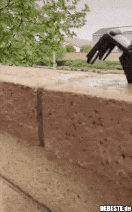 Nicht schlecht Mickey..