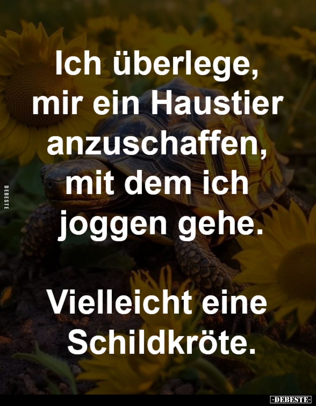 Ich überlege,
mir ein Haustier
anzuschaffen, mit dem
ich joggen gehe.
Vielleicht eine
Schildkröte.