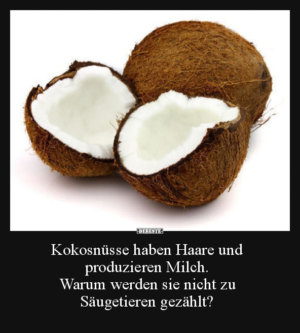 Kokosnüsse haben Haare und produzieren Milch..