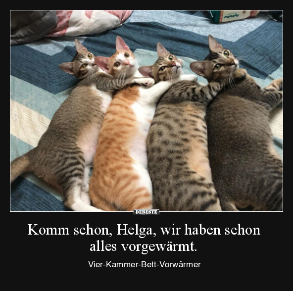 Komm schon, Helga, wir haben schon alles vorgewärmt...